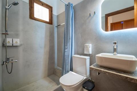 Modern bathroom with rainfall shower
